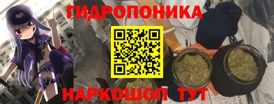 ПСИЛОЦИБИНОВЫЕ ГРИБЫ Изобильный