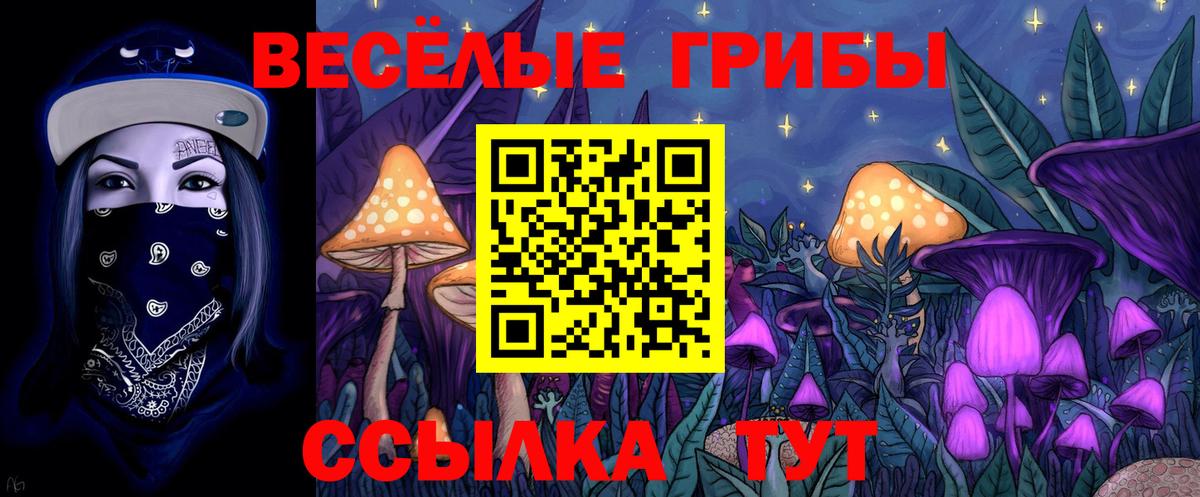 Барабинск  Псилоцибиновые грибы прущие грибы  Псилоцибиновые грибы Cubensis  Вход с VPN 